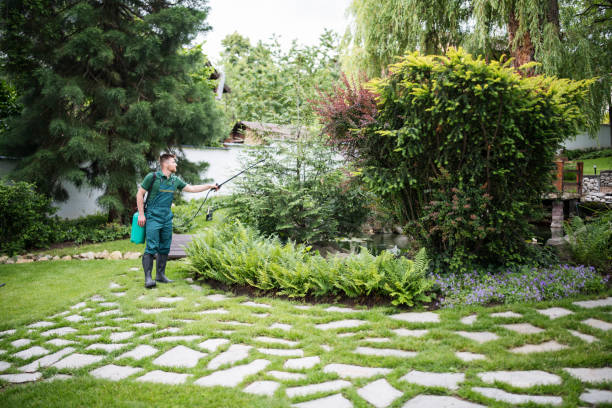 Best Mosquito Control Services  in Medford, MN