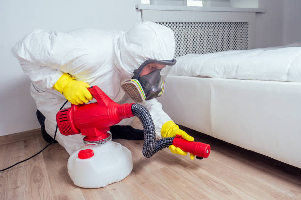 Best Mosquito Control Services  in Medford, MN