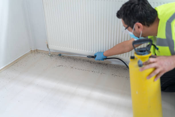 Flea Control Services in Medford, MN
