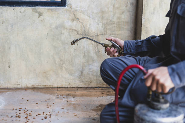 Professional Pest Control in Medford, MN